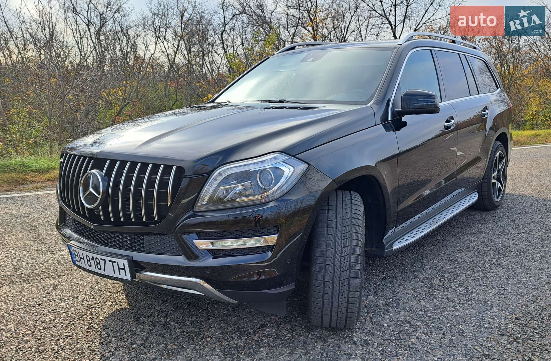 Mercedes-Benz GL-Class 2013 VIN WDC1668241A259269 фото оголошення 9 з 28