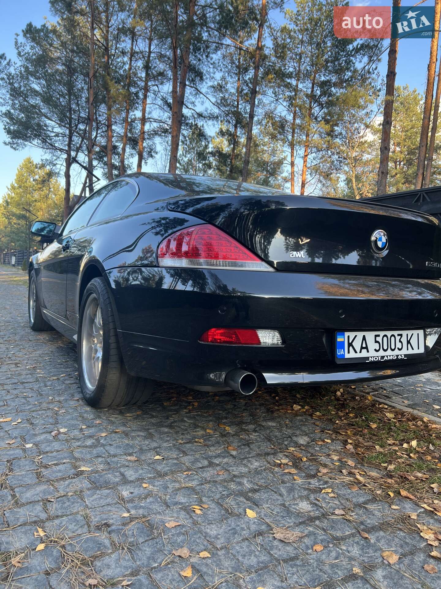 BMW 6 Series 2007 VIN WBAEH31040B691081 фото оголошення 7 з 18