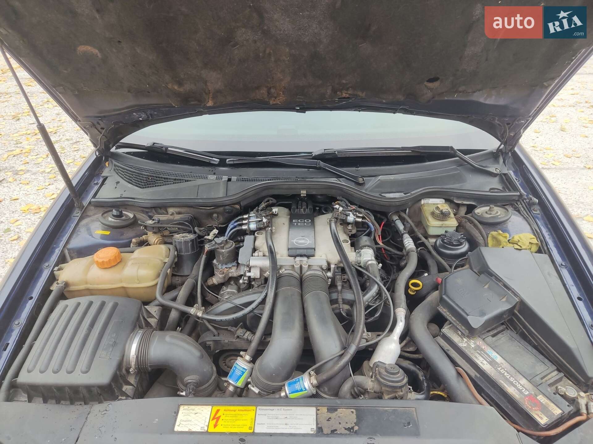 Opel Omega 1999 VIN W0L0VBM69X1064996 фото оголошення 12 з 13