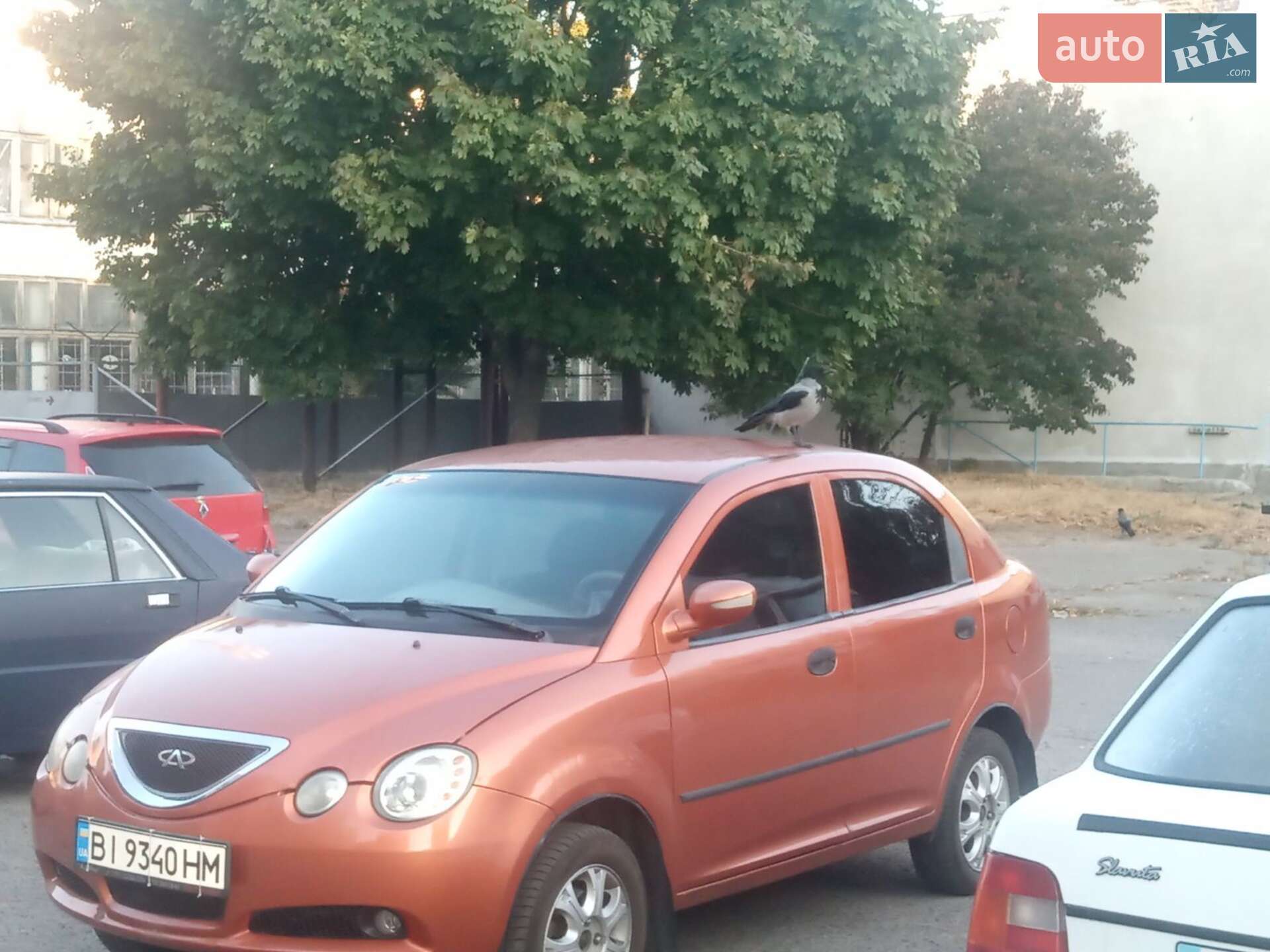 Chery Jaggi 2008 VIN LVVDC12B08D067835 фото оголошення 5 з 5