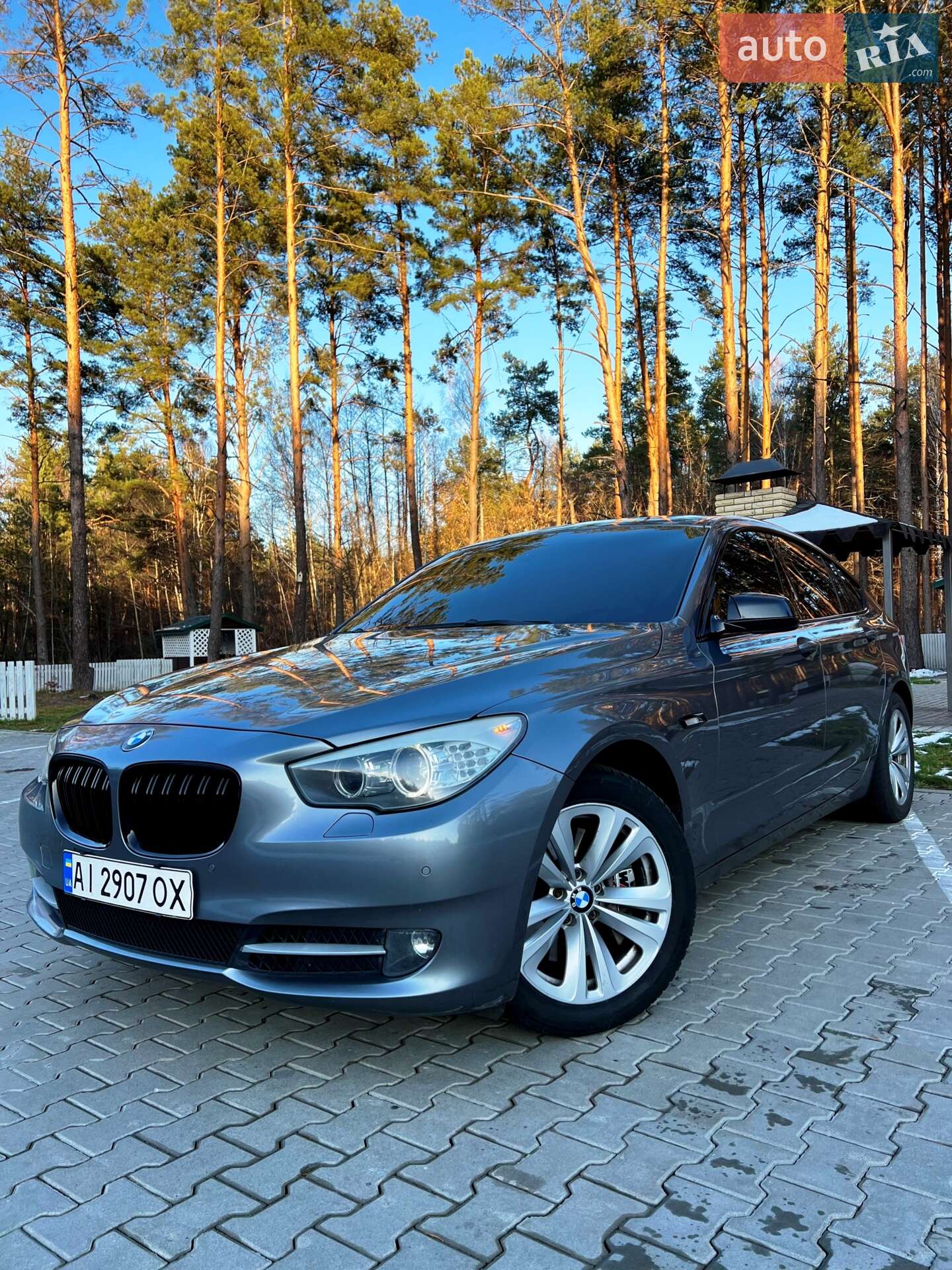 BMW 5 Series GT 2009 VIN WBASN61010C214311 фото оголошення 10 з 28