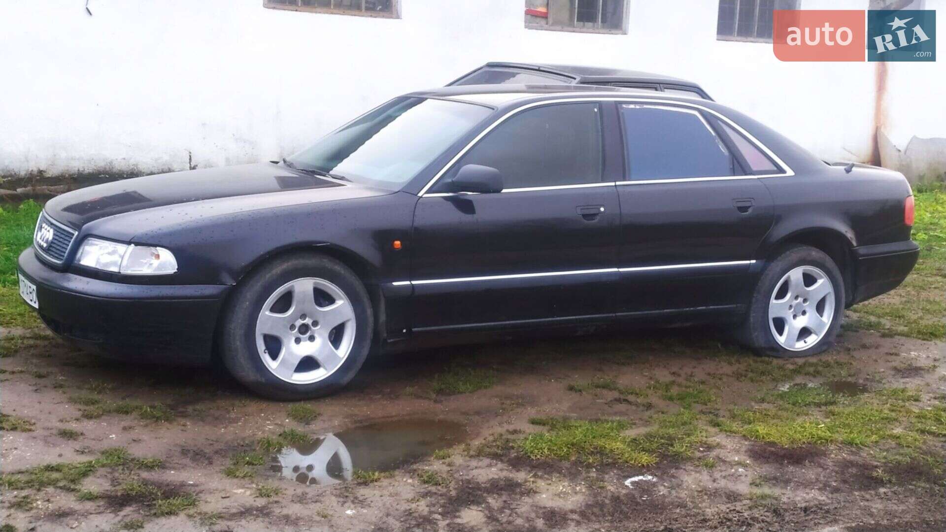 Audi A8 1996 VIN WAUZZZ4DZTN001768 фото оголошення 6 з 7