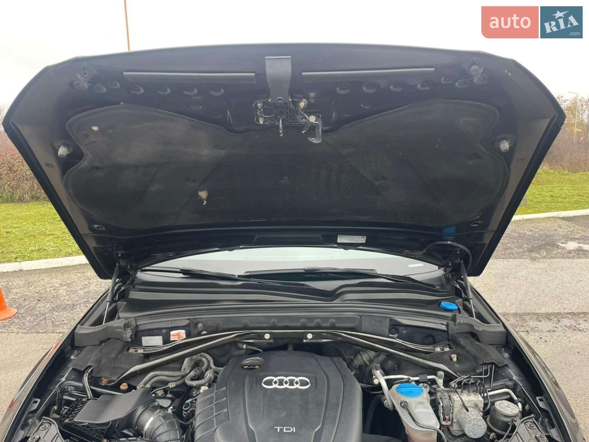 Audi Q5 2011 VIN WAUZZZ8RXCA019221 фото оголошення 34 з 41