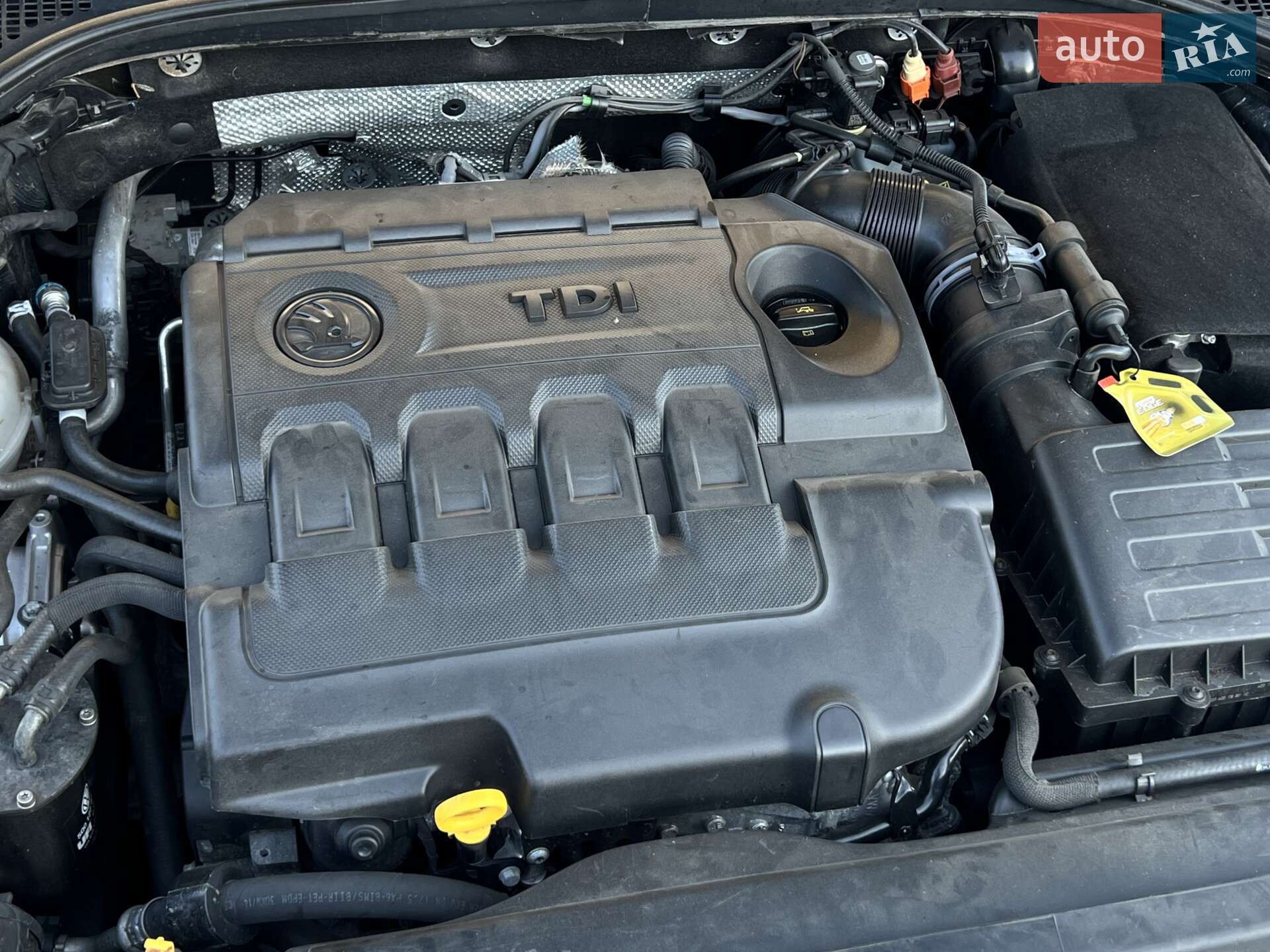 Skoda Octavia 2014 VIN TMBJJ7NE1F0070873 фото оголошення 32 з 33