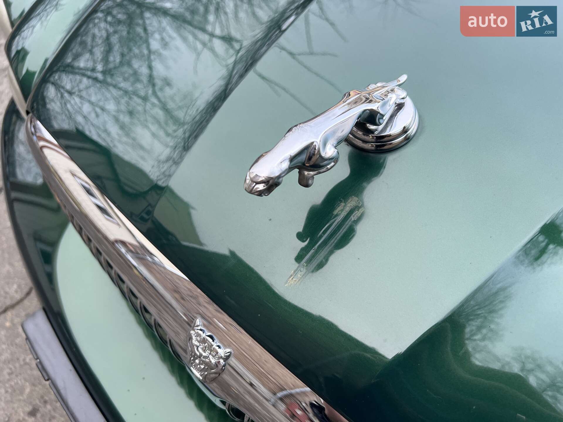 Jaguar X-Type 2005 VIN SAJAB54M85XE67386 фото оголошення 23 з 24
