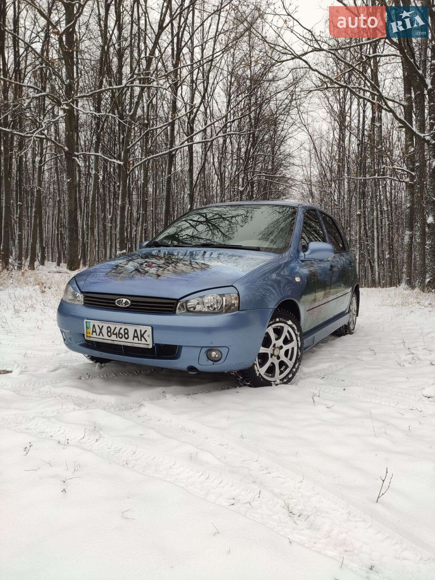 ВАЗ / Lada 1119 Калина 2007 VIN XTA11193070024281 фото оголошення 5 з 17
