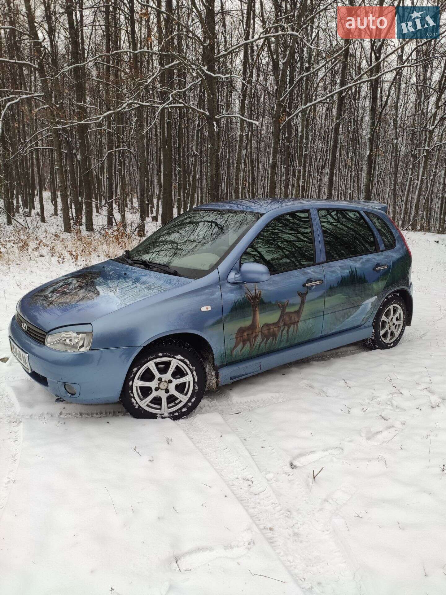 ВАЗ / Lada 1119 Калина 2007 VIN XTA11193070024281 фото оголошення 10 з 17