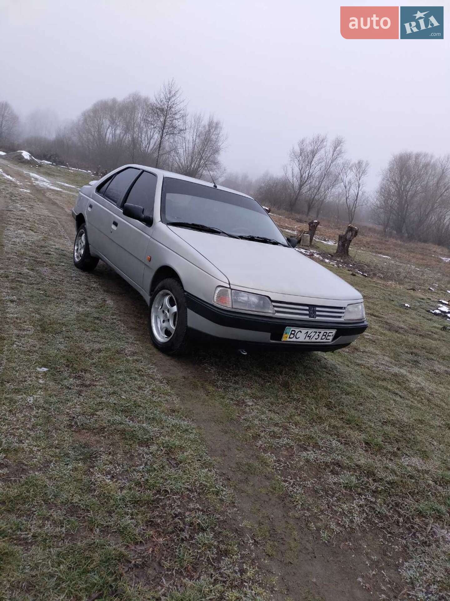 Peugeot 405 1989 VIN VF315BD2208002830 фото оголошення 4 з 8