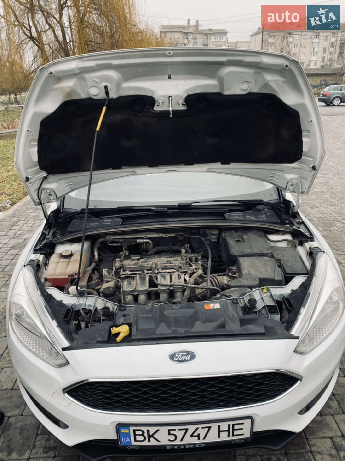 Ford Focus 2015 VIN WF05XXGCC5FT63393 фото оголошення 25 з 27