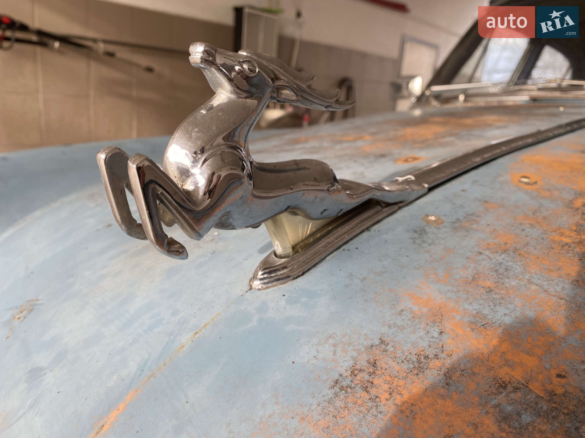 ГАЗ 21 Волга 1960 VIN XTH210000L0096201 фото оголошення 14 з 27