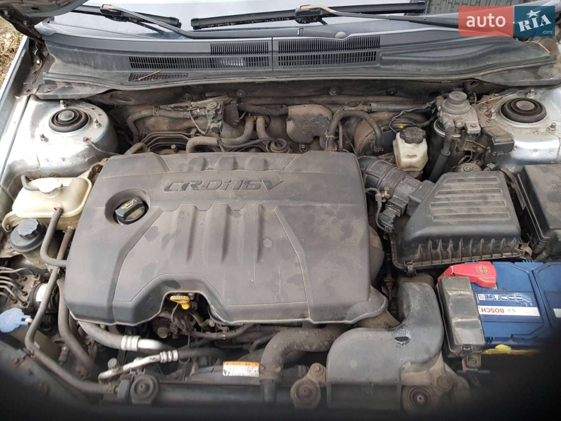 KIA Cerato 2008 VIN Y6LFE22628L201186 фото оголошення 12 з 20