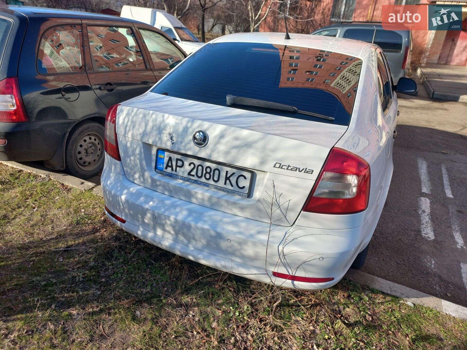 Skoda Octavia 2010 VIN TMBDX21Z9B8006843 фото оголошення 15 з 61
