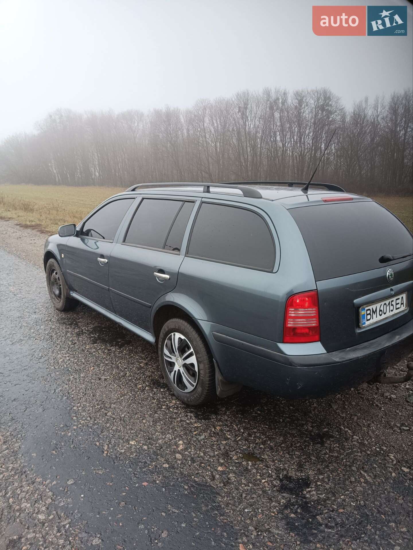 Skoda Octavia 2004 VIN TMBHX41U742890109 фото оголошення 4 з 8