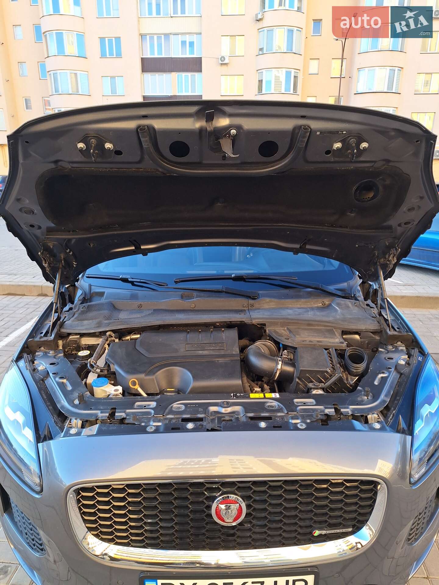 Jaguar E-Pace 2018 VIN SADFT2GX3J1Z27820 фото оголошення 55 з 59