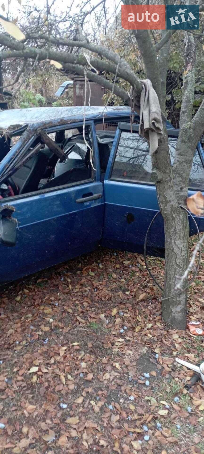 ВАЗ / Lada 21099 2006 VIN Y6D21099060027642 фото оголошення 4 з 27