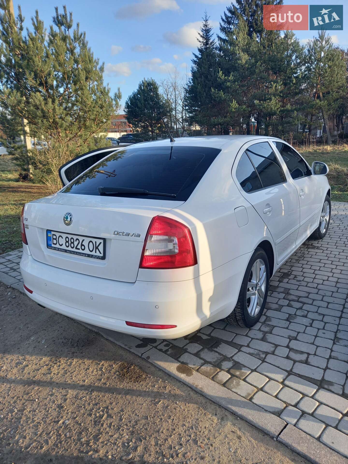 Skoda Octavia 2011 VIN TMBCK61ZXB2113131 фото оголошення 13 з 21