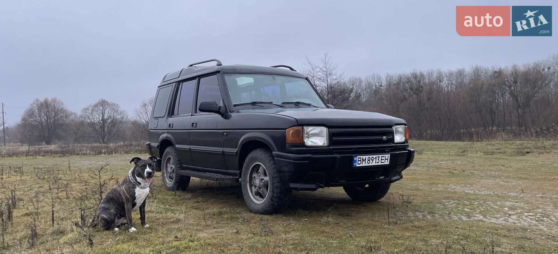 Land Rover Discovery 1996 VIN SALLJGMM8TA511083 фото оголошення 3 з 6
