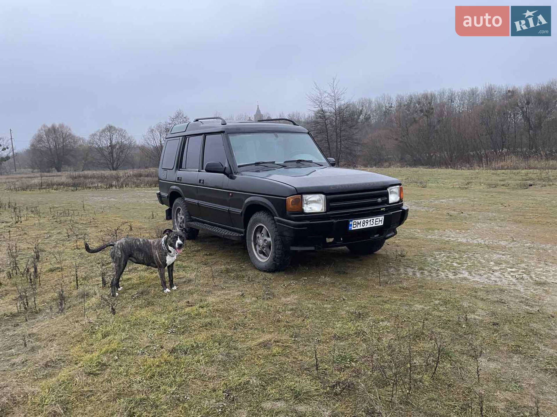 Land Rover Discovery 1996 VIN SALLJGMM8TA511083 фото оголошення 6 з 6