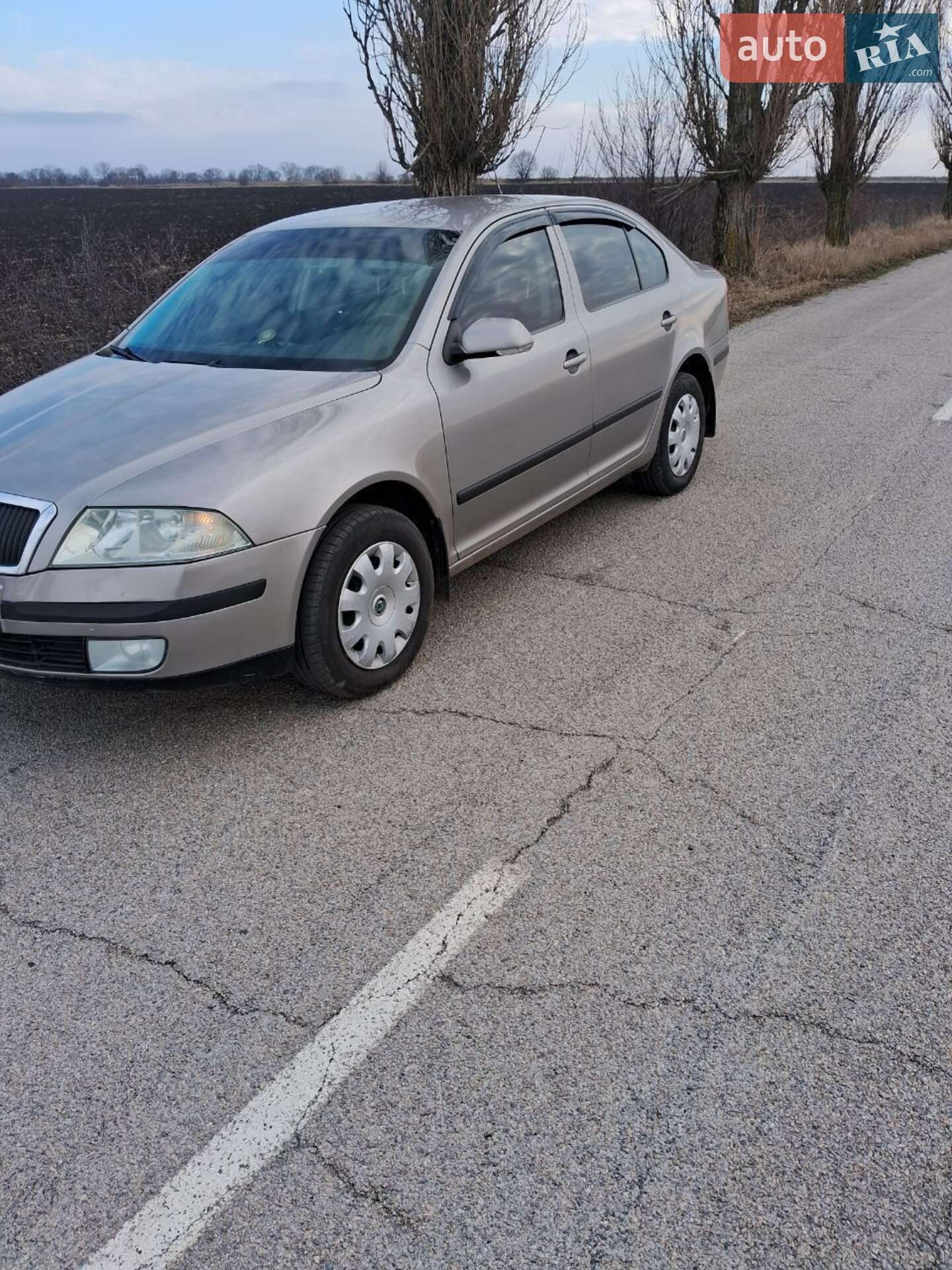 Skoda Octavia 2008 VIN TMBCA41Z28B154823 фото оголошення 5 з 6
