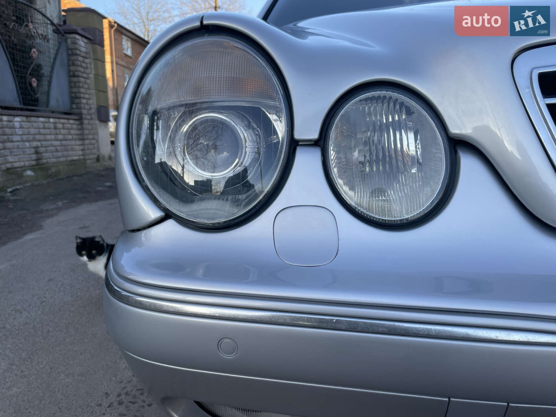 Mercedes-Benz E-Class 2001 VIN WDB2100261B442732 фото оголошення 11 з 35