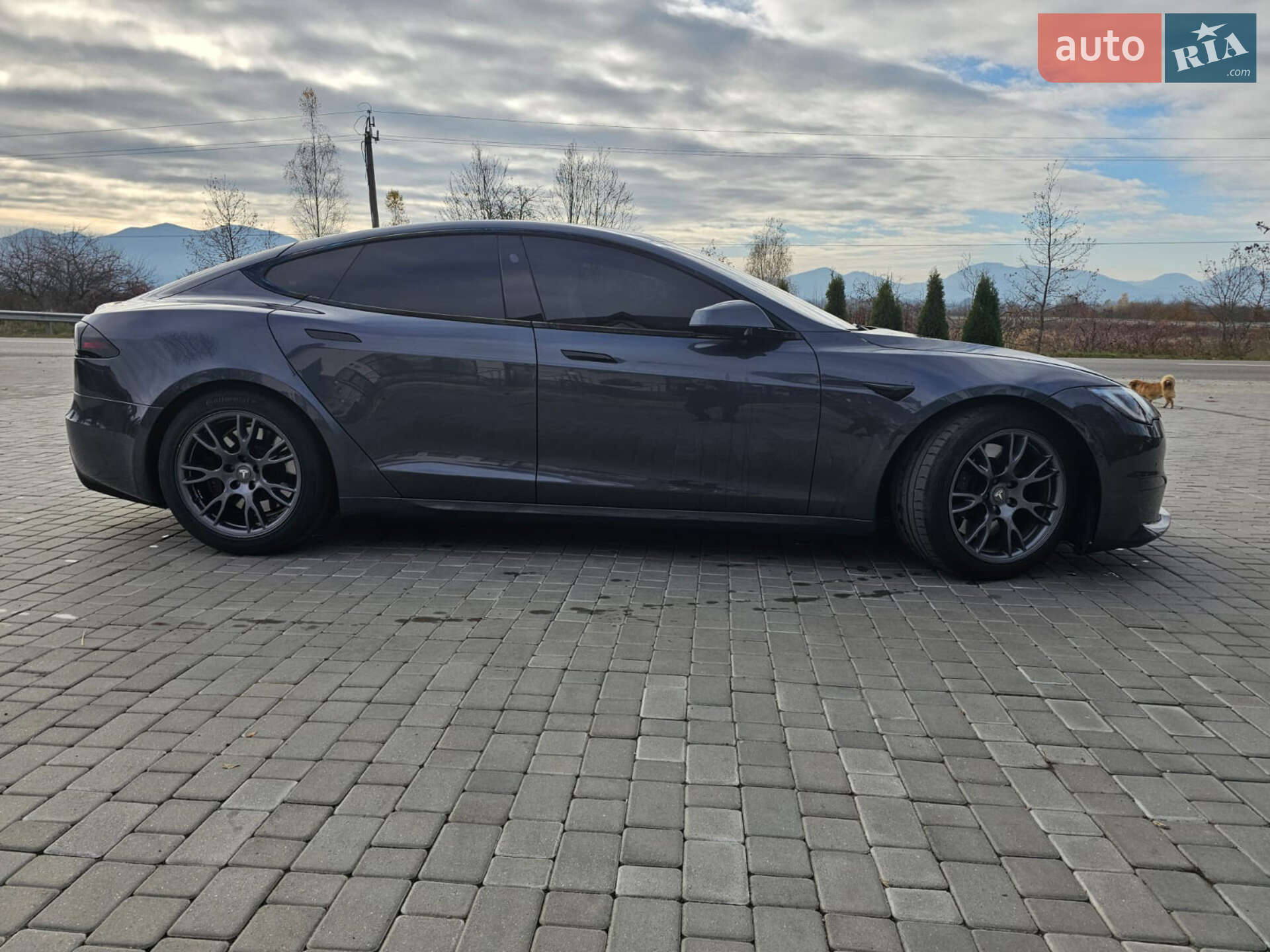 Tesla Model S 2023 VIN 5YJSA1E54PF498764 фото оголошення 15 з 24