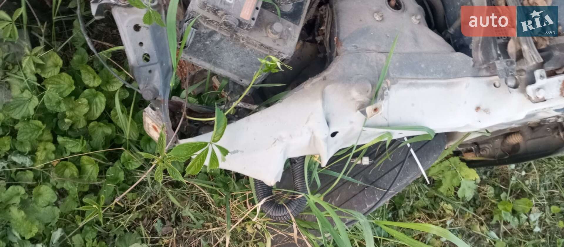 Nissan Almera 2002 VIN SJNBAAN16U0365653 фото оголошення 5 з 9