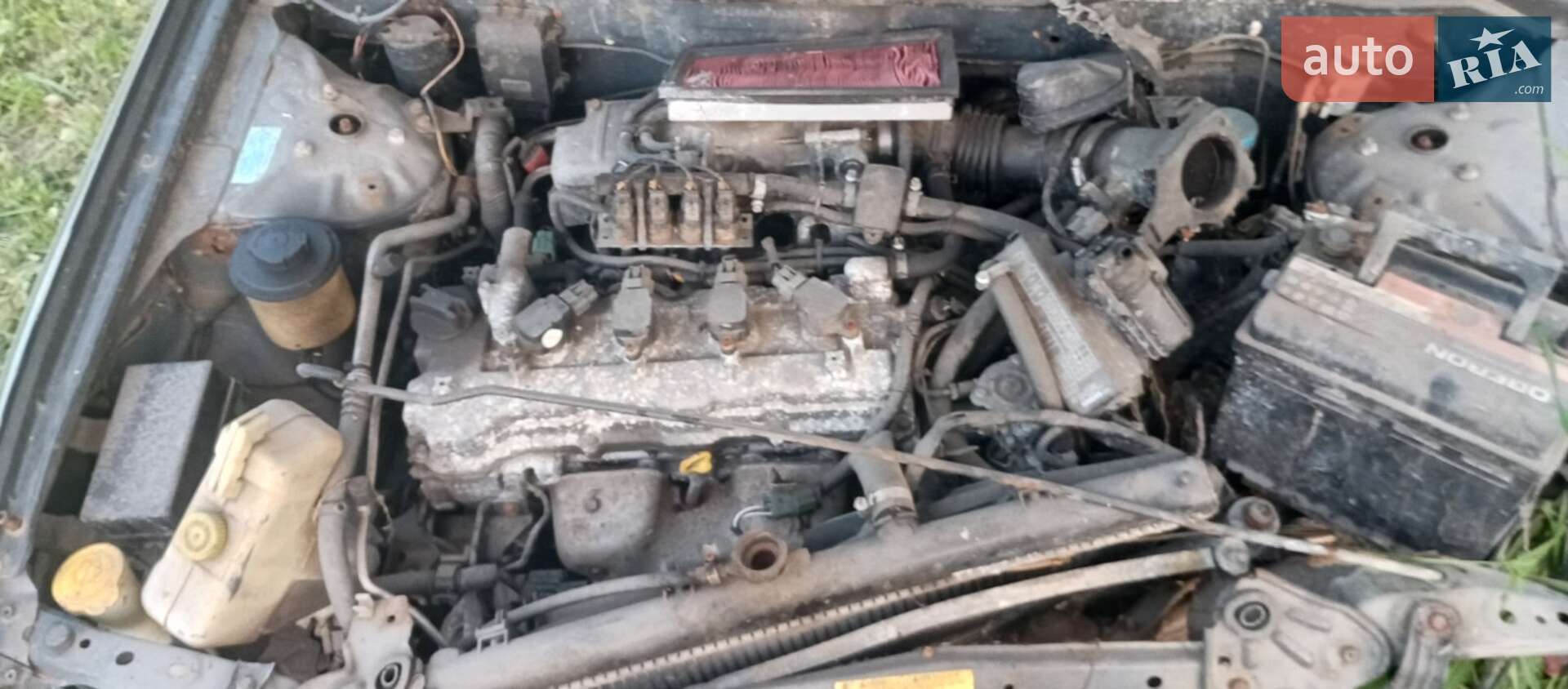 Nissan Almera 2002 VIN SJNBAAN16U0365653 фото оголошення 6 з 9