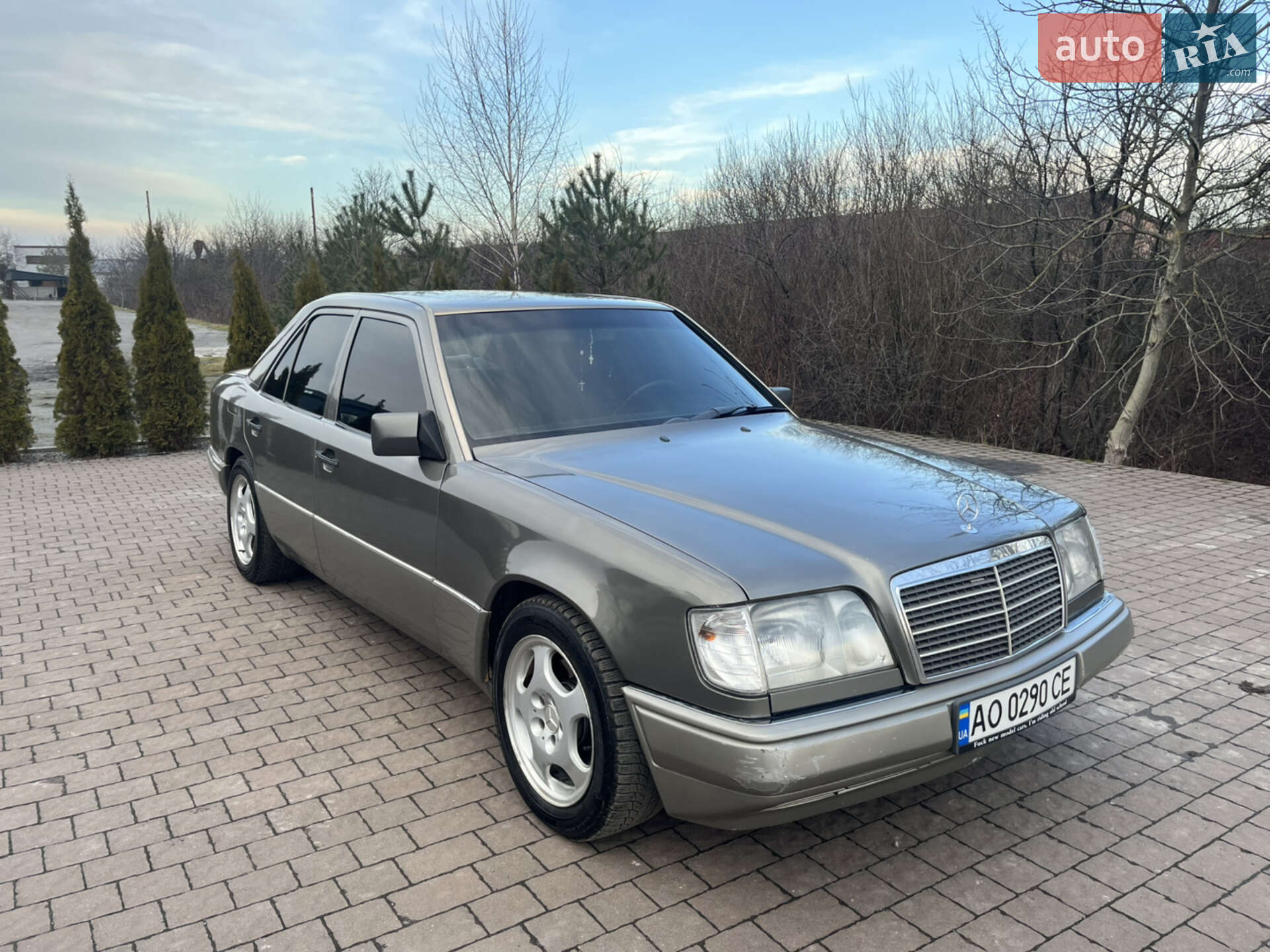 Mercedes-Benz E-Class 1994 VIN WDB124120GA310251 фото оголошення 7 з 8