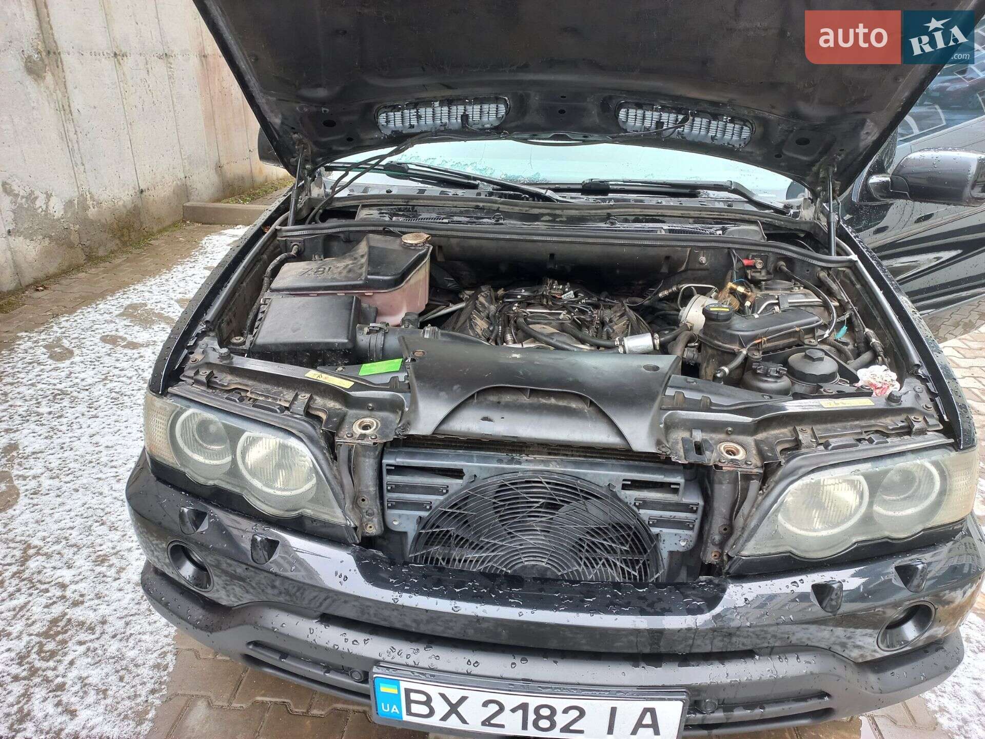 BMW X5 2003 VIN WBAFB310X0LP14475 фото оголошення 23 з 38