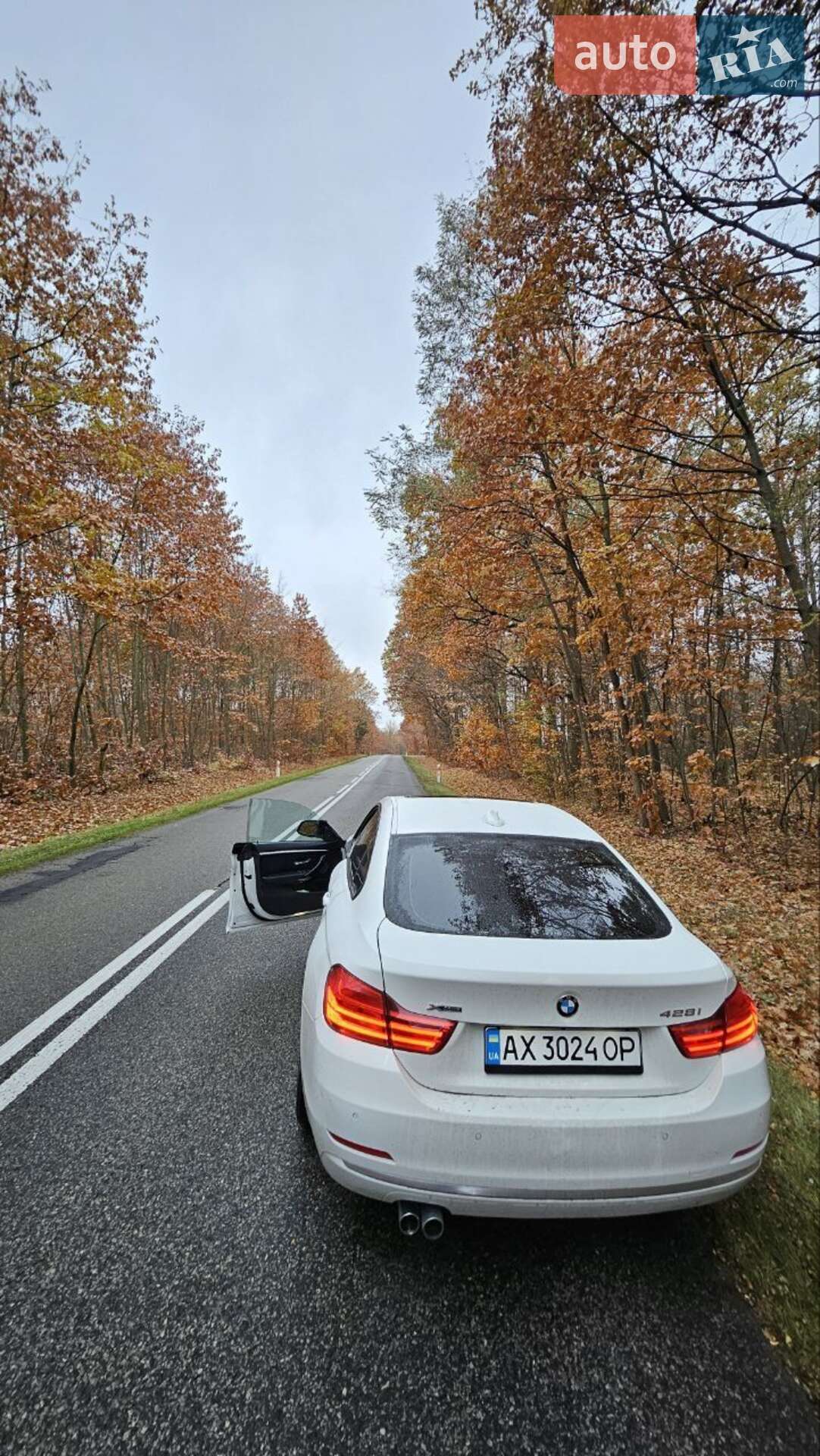 BMW 4 Series Gran Coupe 2014 VIN WBA4A7C53FD413964 фото оголошення 4 з 16