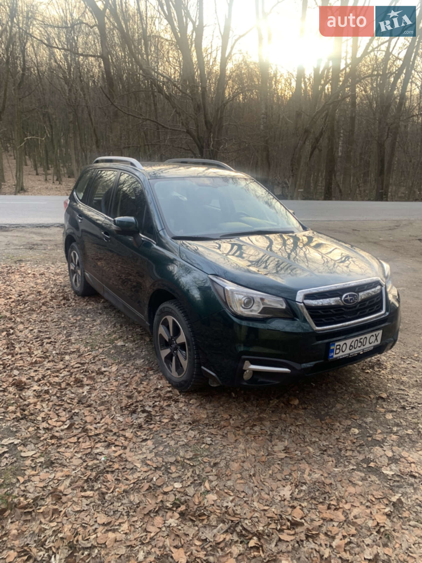 Subaru Forester 2016 VIN JF1SJDLY5GG282477 фото оголошення 14 з 16