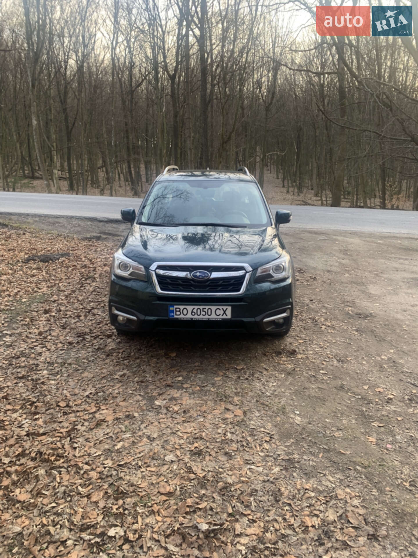Subaru Forester 2016 VIN JF1SJDLY5GG282477 фото оголошення 15 з 16