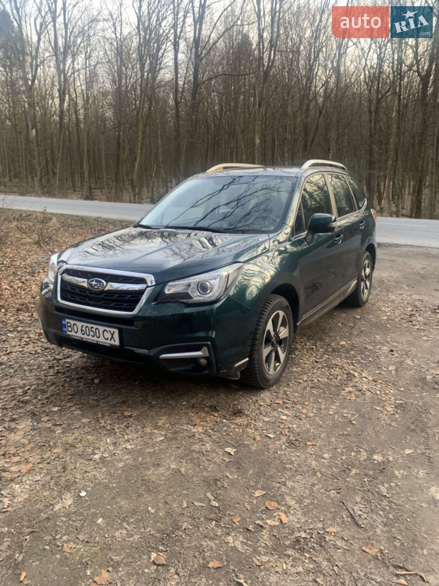 Subaru Forester 2016 VIN JF1SJDLY5GG282477 фото оголошення 16 з 16