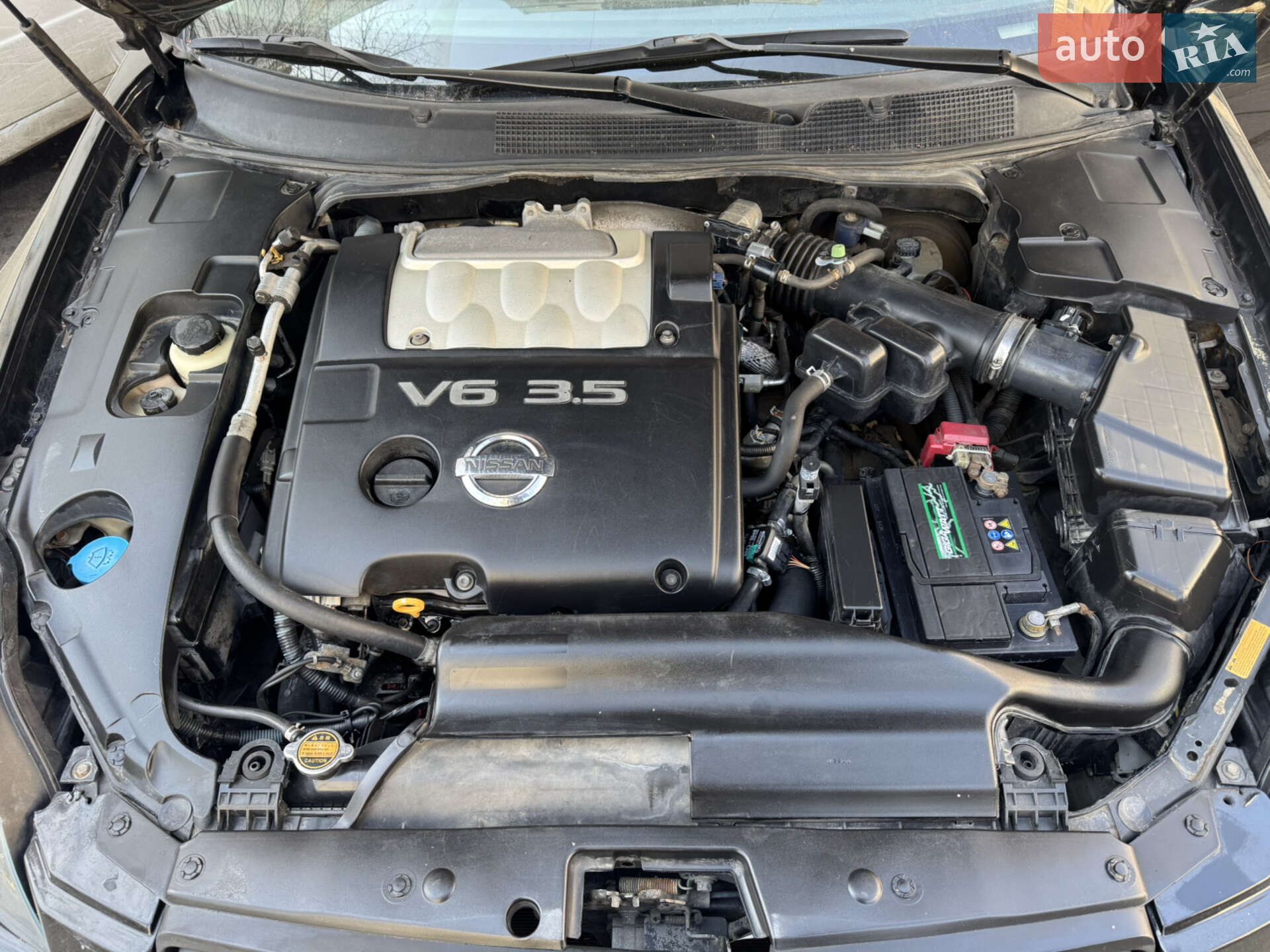 Nissan Maxima 2004 VIN 1N4BA41E45C811478 фото оголошення 6 з 13