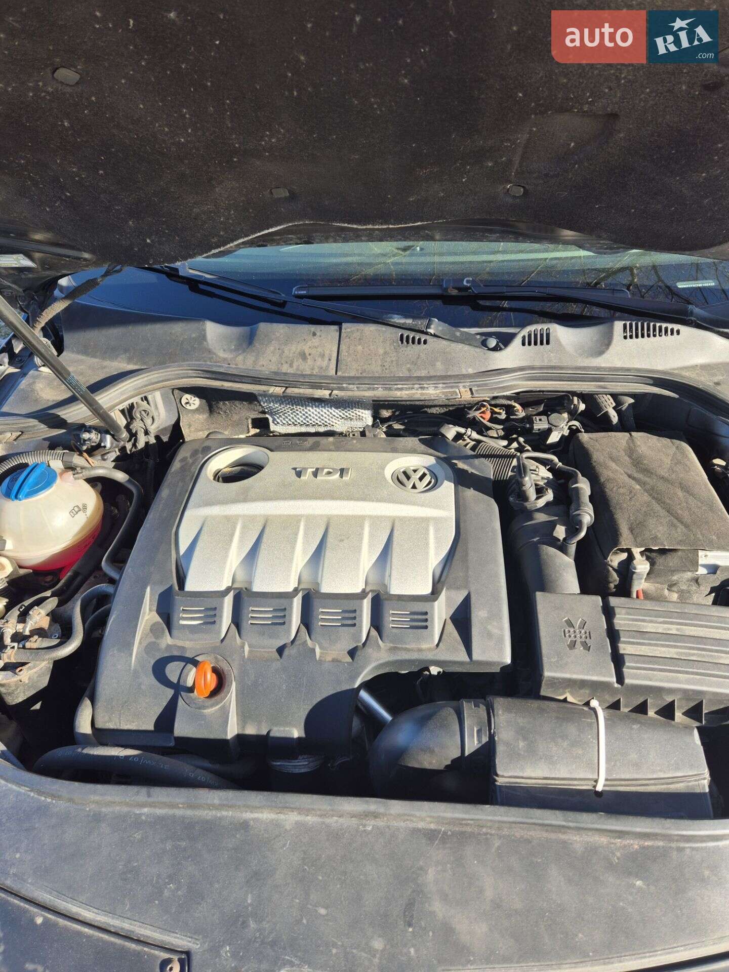Volkswagen Passat 2007 VIN WVWZZZ3CZ8E102428 фото оголошення 22 з 34