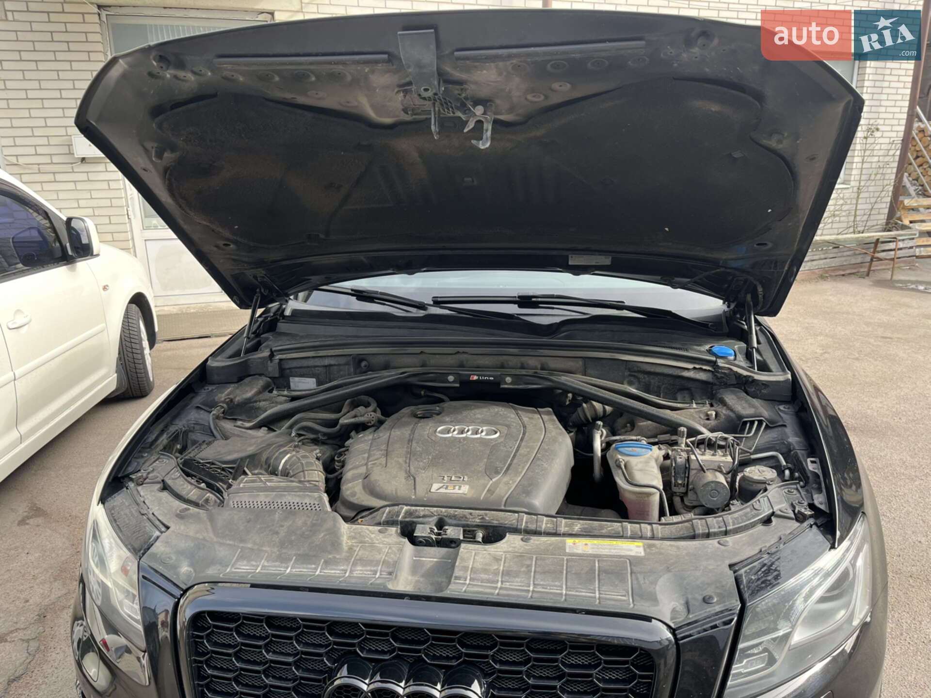 Audi Q5 2011 VIN WAUZZZ8R6CA003579 фото оголошення 21 з 32