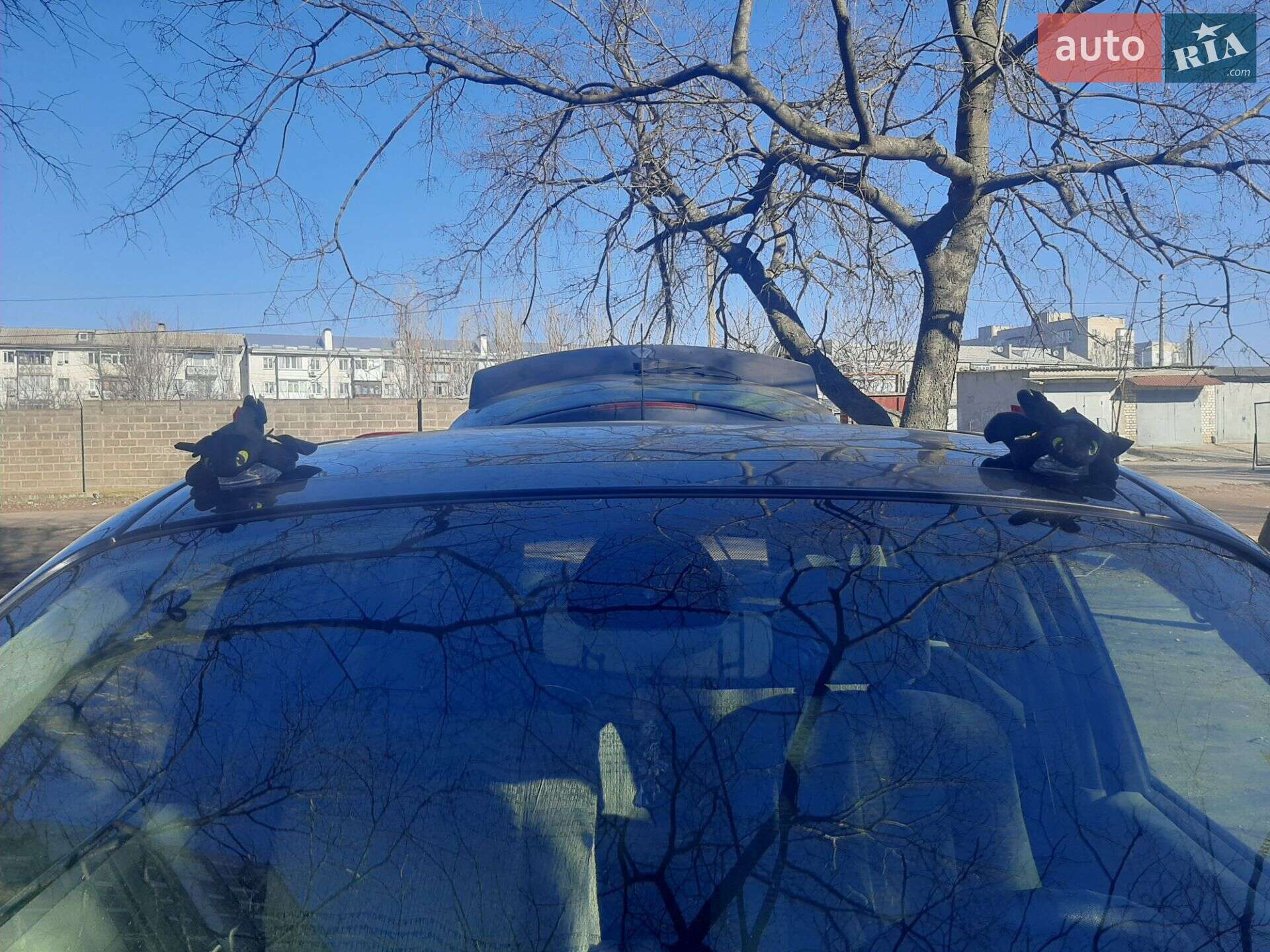 Renault Scenic 2006 VIN VF1JM1R0535677054 фото оголошення 6 з 28