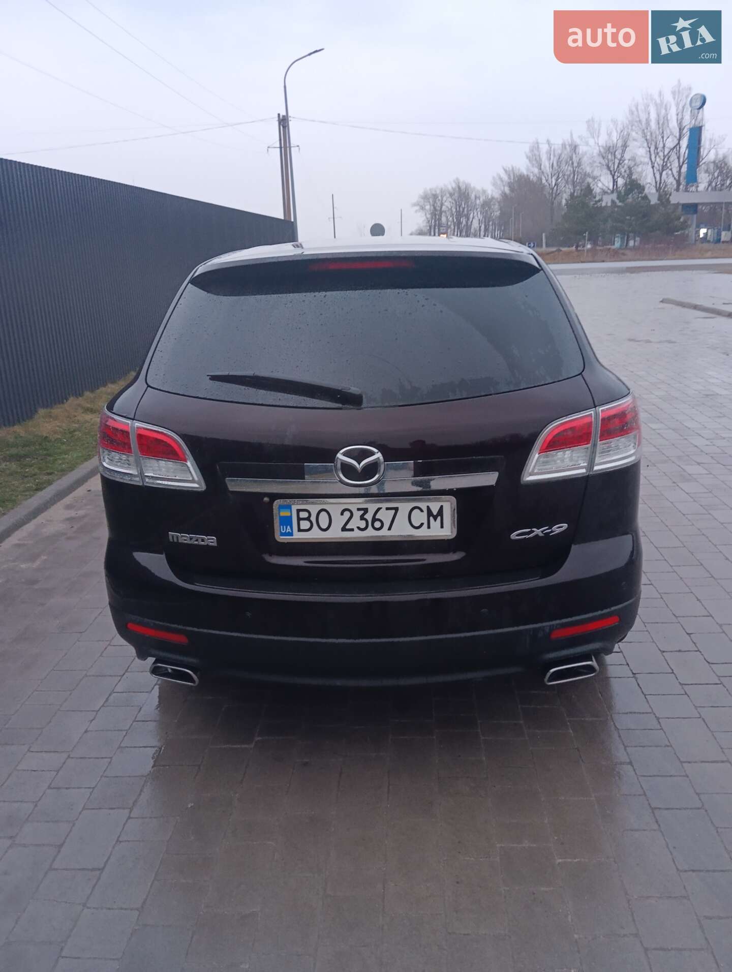 Mazda CX-9 2009 VIN JM7TB19A690113589 фото оголошення 10 з 14