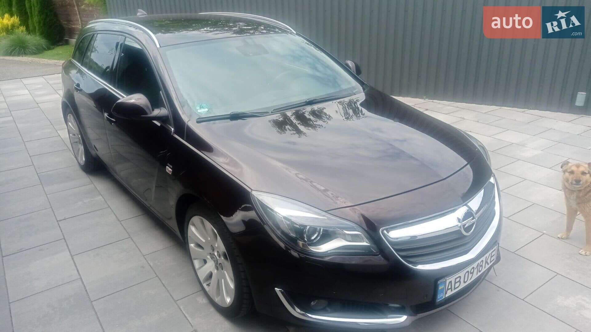 Opel Insignia 2015 VIN W0LGS8E12G1021668 фото оголошення 18 з 19