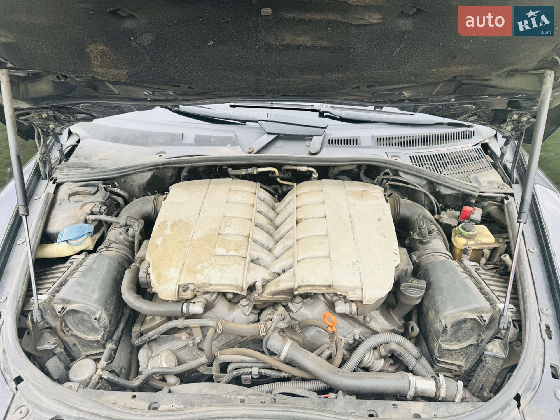 Volkswagen Touareg 2005 VIN WVGZZZ7LZ5D079393 фото оголошення 22 з 26
