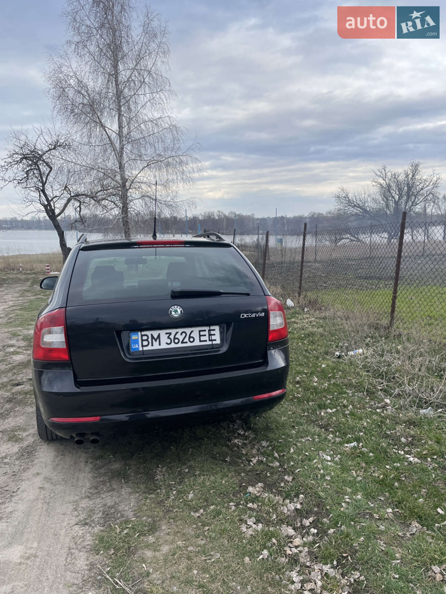 Skoda Octavia 2009 VIN TMBKK61Z2A2076280 фото оголошення 5 з 19
