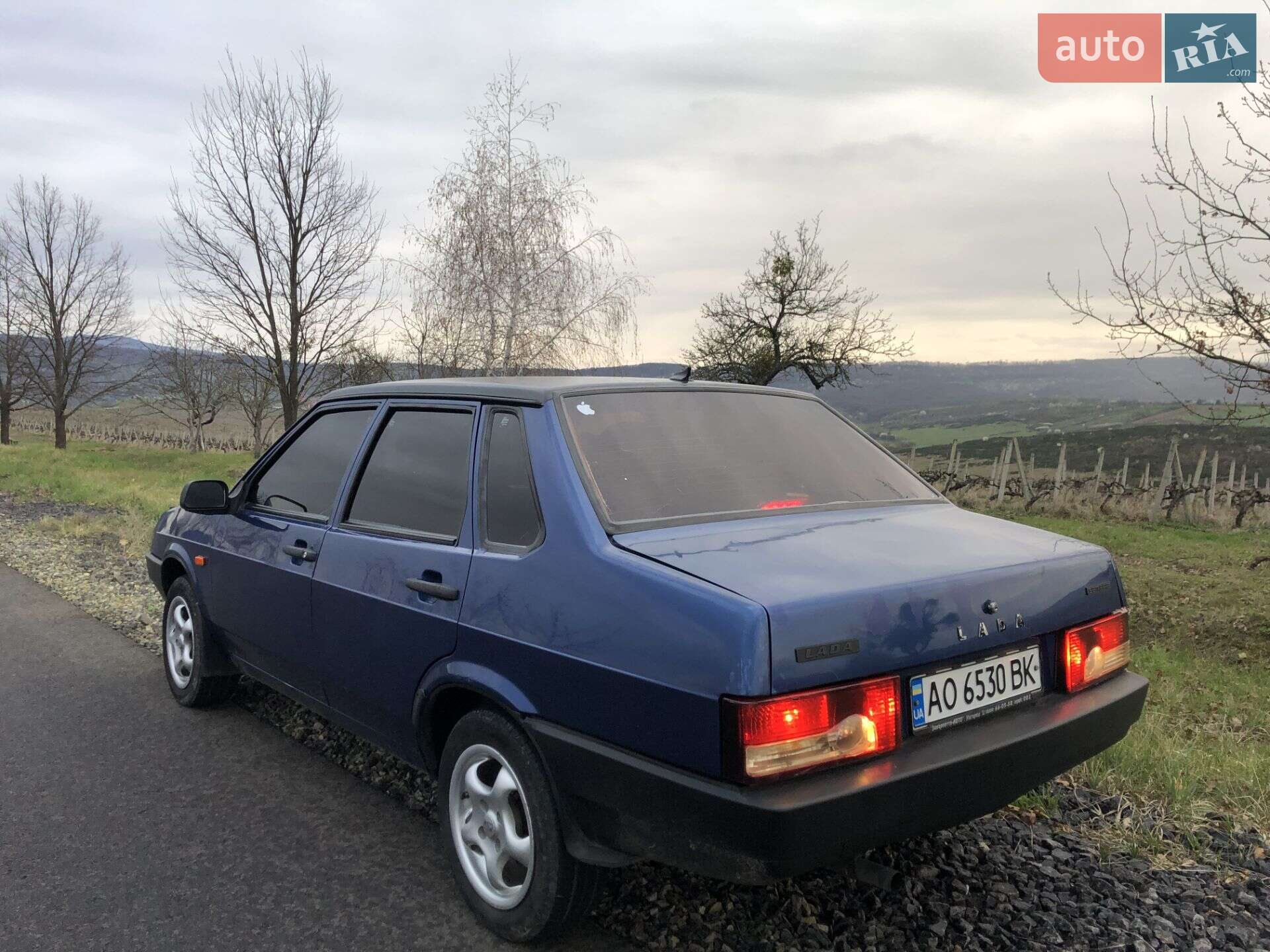 ВАЗ / Lada 21099 2006 VIN Y6D21099060027097 фото оголошення 8 з 8