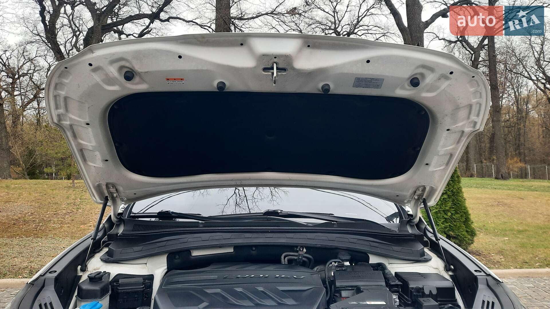 Hyundai Santa FE 2018 VIN KMHS581CDKU108194 фото оголошення 65 з 162