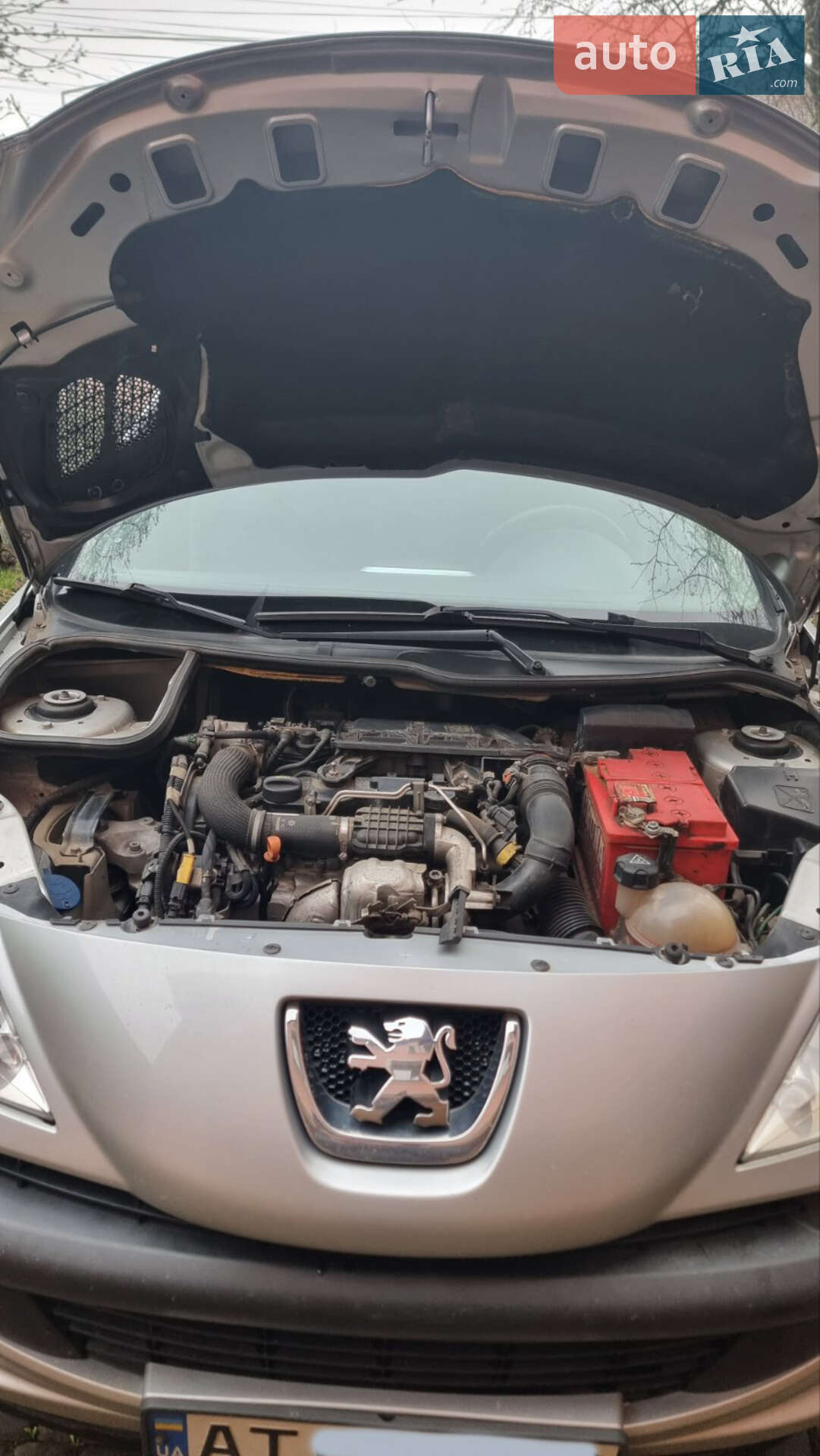 Peugeot 206 2012 VIN VF32M8HR0CY036418 фото оголошення 2 з 10
