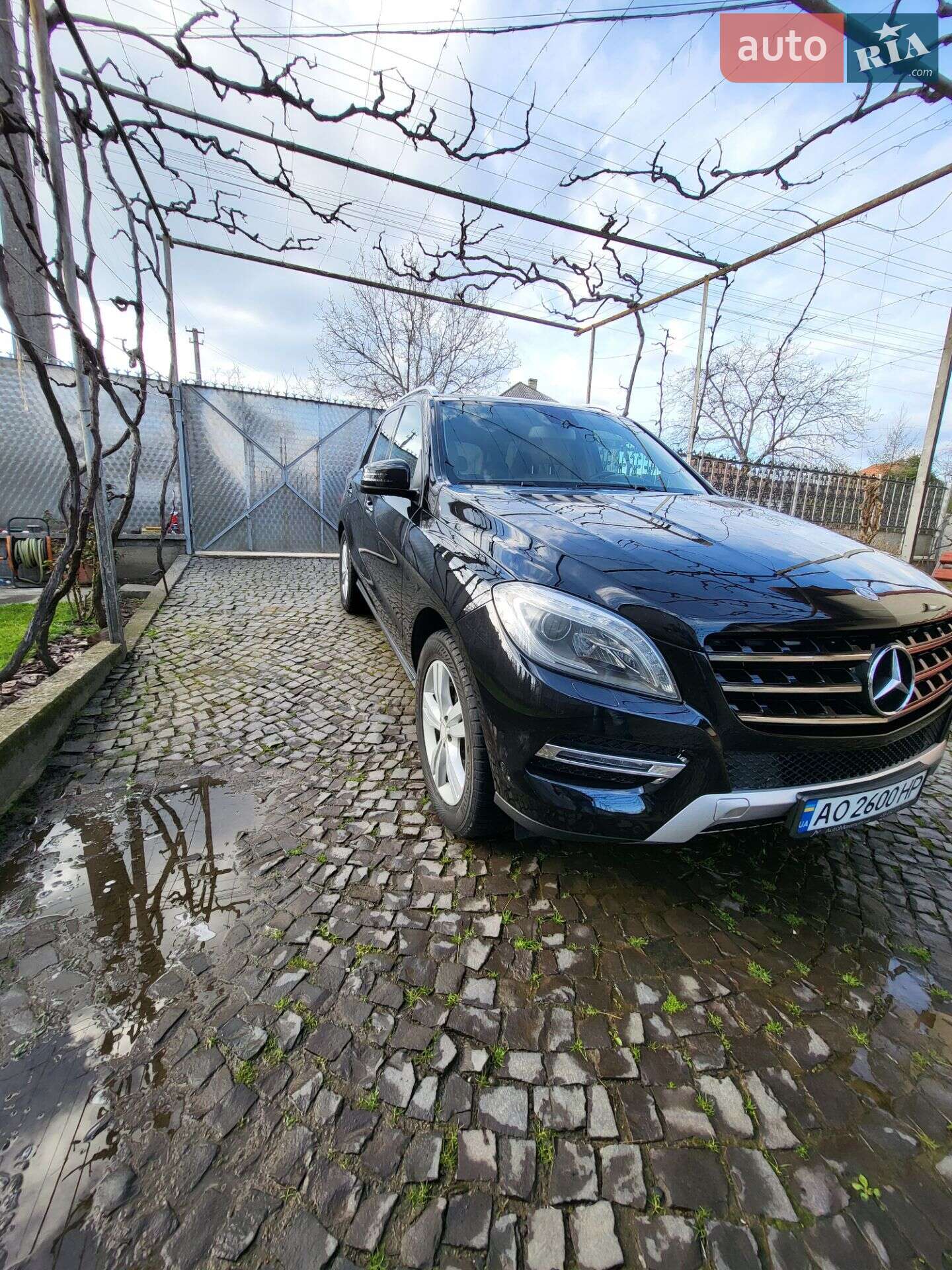 Mercedes-Benz M-Class 2013 VIN WDC1660571A259046 фото оголошення 10 з 41