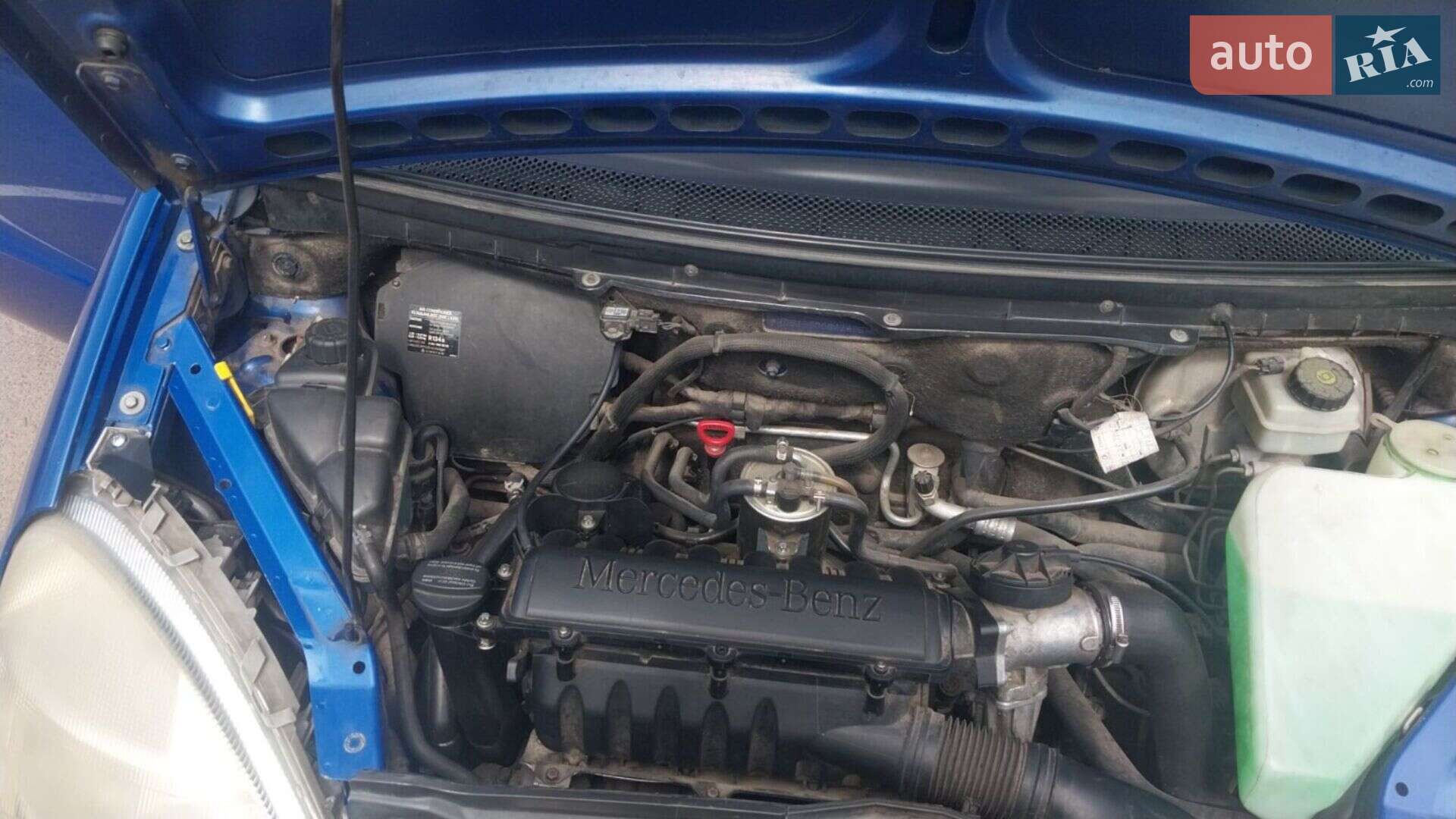 Mercedes-Benz A-Class 2000 VIN WDB1680081J495616 фото оголошення 12 з 16