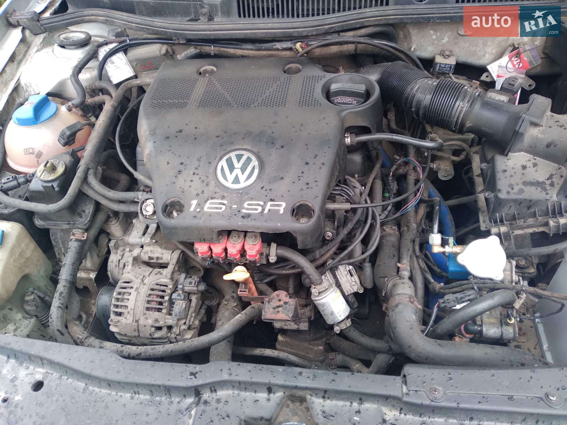 Volkswagen Golf 1999 VIN WVWZZZ1JZYW121772 фото оголошення 6 з 7