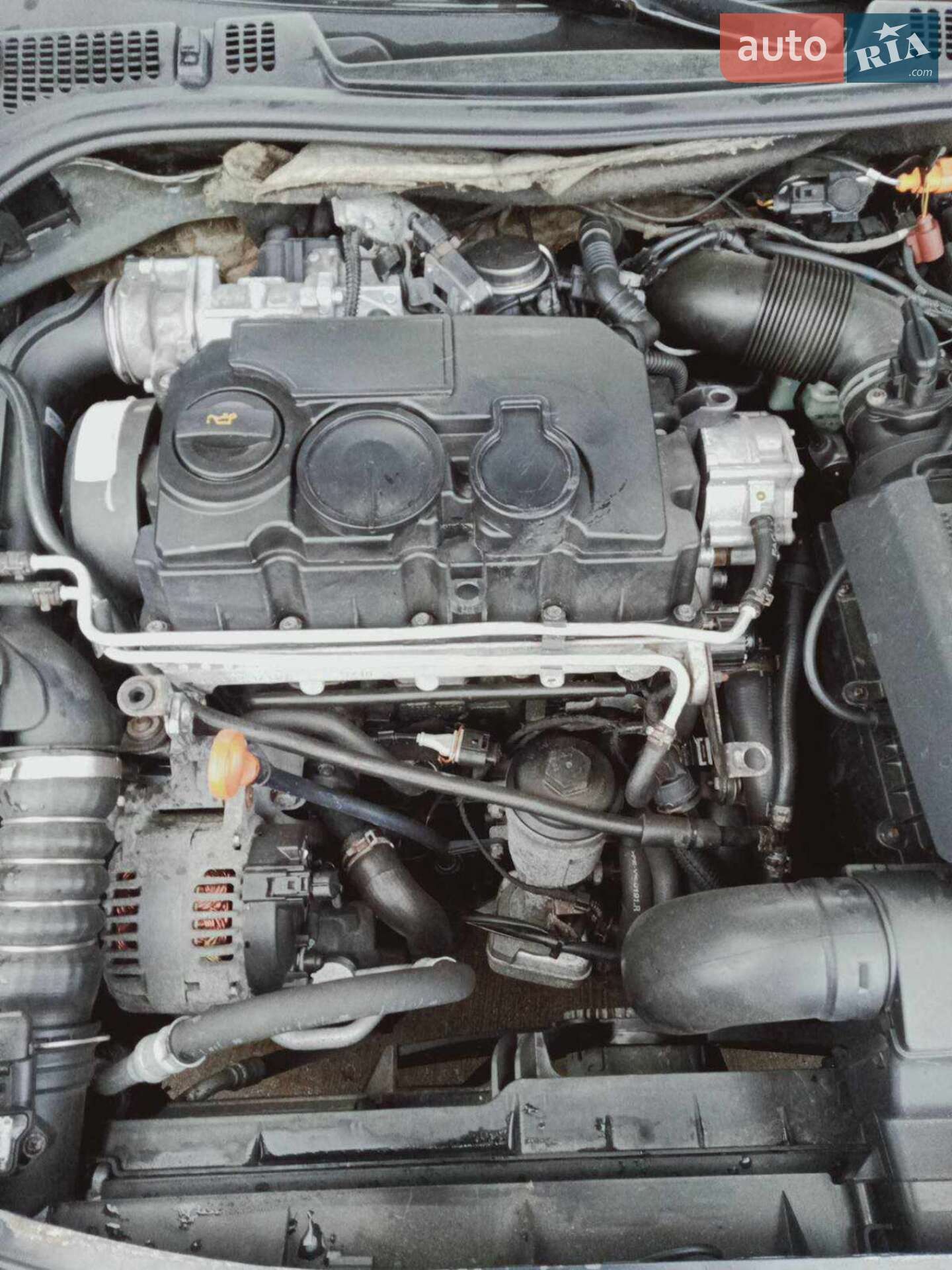Skoda Octavia 2008 VIN TMBJS61Z082126745 фото оголошення 11 з 14