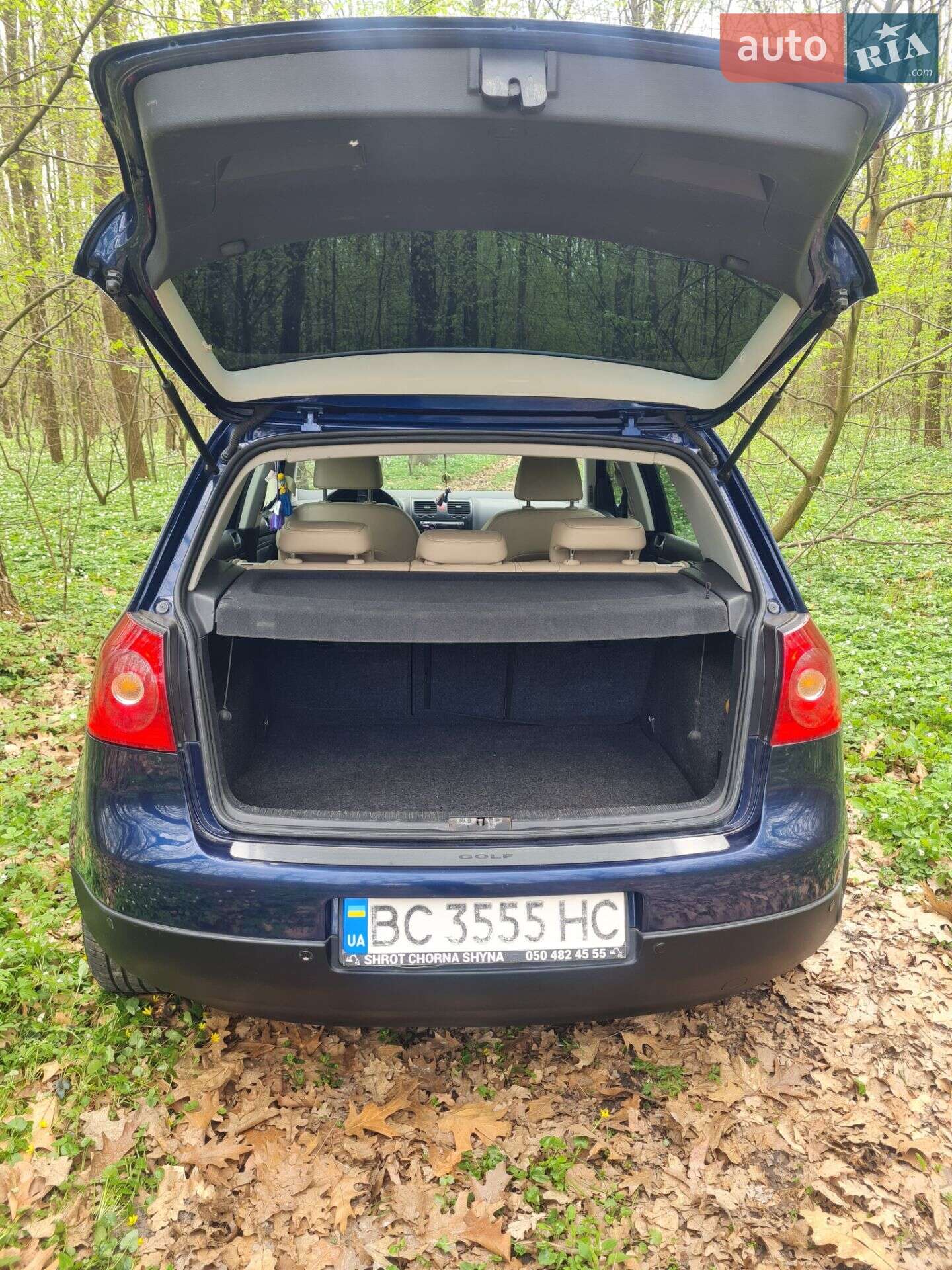 Volkswagen Golf 2005 VIN WVWZZZ1KZ5P096475 фото оголошення 6 з 12