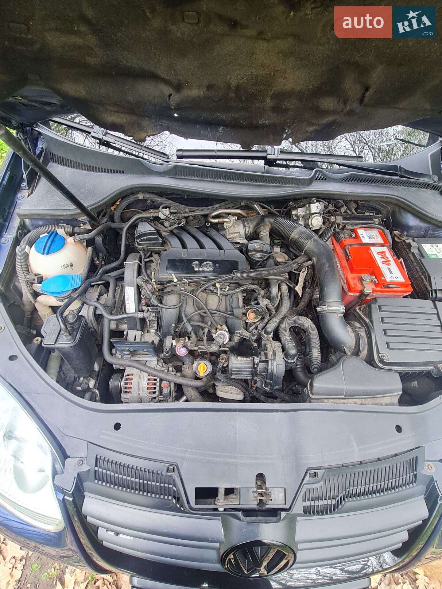 Volkswagen Golf 2005 VIN WVWZZZ1KZ5P096475 фото оголошення 11 з 12